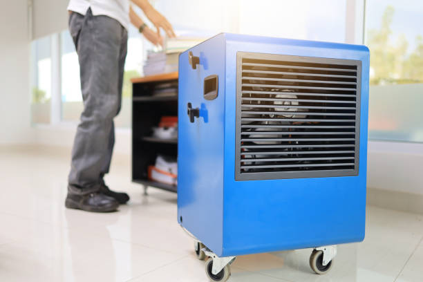 Best Dehumidification Services  in Southgate, KY